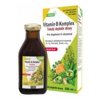 SALUS Vitamín B-komplex 250 ml