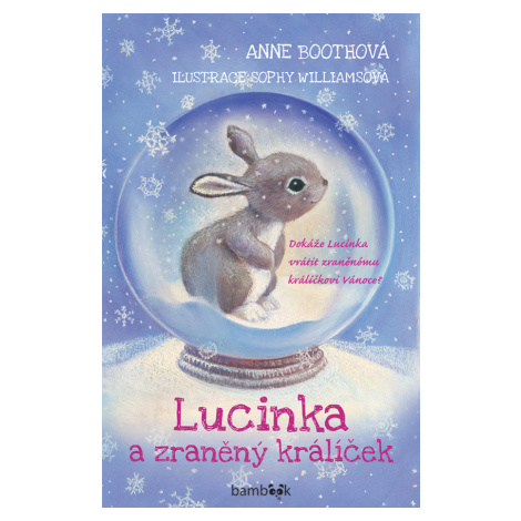 Lucinka a zraněný králíček, Boothová Anne