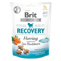 Pochúťka Brit Care Dog Functional Snack Recovery Sleď 150g