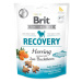 Pochúťka Brit Care Dog Functional Snack Recovery Sleď 150g