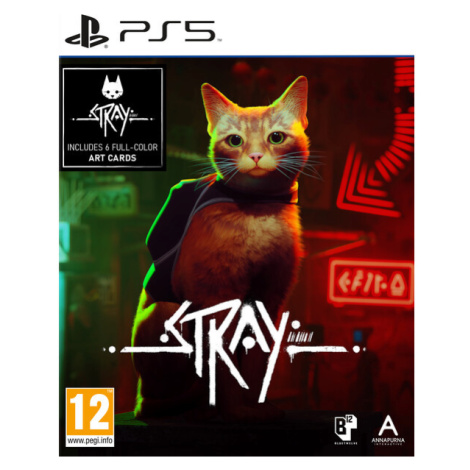 PS5 Stray