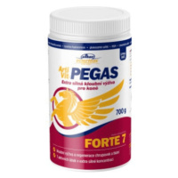 VITAR Veterinae artivit pegas forte 7 sypká zmes 700 g