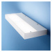 Nástenné LED svietidlo Regolo dĺžka 24 cm, biele