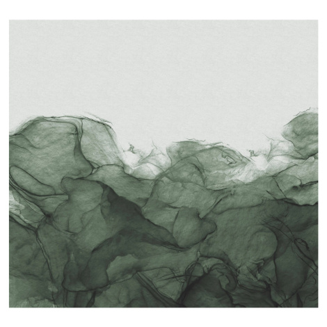 Komar Vliesová fototapeta Green Dust 300 x 280 cm