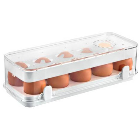 TESCOMA Dóza zdravá plastová do chladničky PURITY, 10 vajec