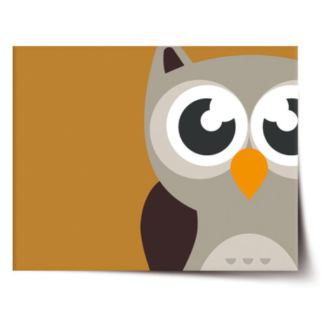 Plagát Sova - 90x60 cm