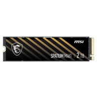 MSI SPATIUM M461, M.2 - 2TB