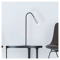 Paul Neuhaus Pure-Gemin stolová LED lampa striebro