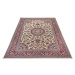 Kusový koberec Flair 105714 Cream Red – na von aj na doma Rozmery kobercov: 120x180