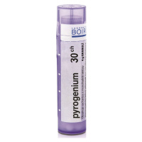 BOIRON Pyrogenium CH30 4 g