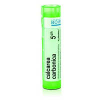 BOIRON Calcarea carbonica CH5 4 g