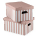 Kartónové úložné boxy v súprave 2 ks s vekom Stripes – Compactor