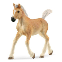 Schleich Haflingerské žriebä