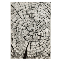 Kusový koberec PHOENIX 6021-0244 133x190 cm