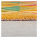 Vlnený koberec 120x170 cm Reverie – Flair Rugs