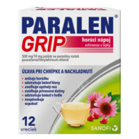 PARALEN Grip horúci nápoj echinacea a šípky 12 vrecúšok