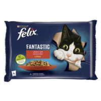 FELIX Fantastic cat Multipack hovädzie&kura v želé kapsičky pre mačky 4x85g