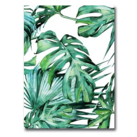 Obraz Wallity Jungle, 28 × 38 cm