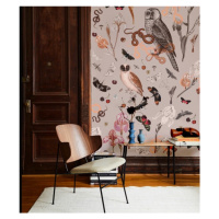 WALLCOLORS Pink Owls wallpaper - tapeta POVRCH: Prowall Sand