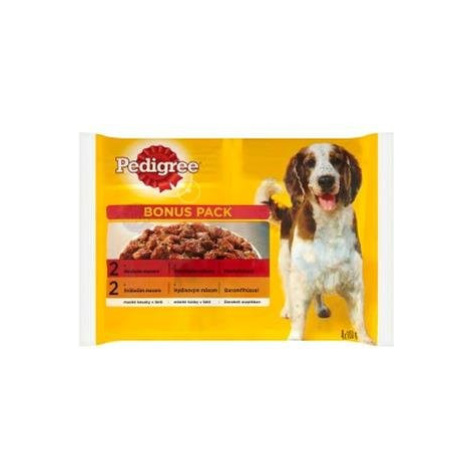 Mars PEDIGREE kapsička dog ADULT Multipack hovädzie & hydinové mäso v želé 4 x 100 g