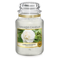 Yankee Candle Kvet kamélie Sviečka v sklenenej dóze 623 g