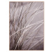 Plagát v ráme 50x70 cm Mellow Grasses 1 – Malerifabrikken