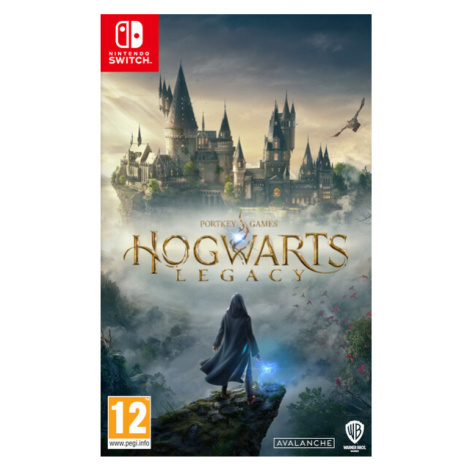 Hogwarts Legacy (Switch)