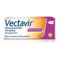 VECTAVIT Tónovaný krém na opary 2 g