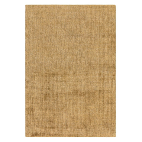 Žltý koberec 230x160 cm Aston - Asiatic Carpets