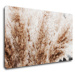 Impresi Obraz Suchá tráva škandinávsky štýl - 50 x 30 cm