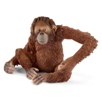 Schleich Orangutan samica