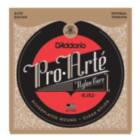 D'Addario EJ52