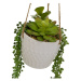 Umelá rastlina (výška 40 cm) – Casa Selección