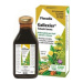 Salus Floradix Gallexier 250 ml