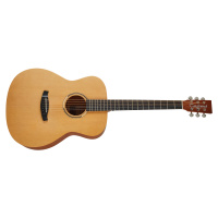 Tanglewood TR 3