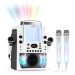 Auna Kara Liquida BT sivá farba + Dazzl mikrofónová sada, karaoke zariadenie, mikrofón, LED osve