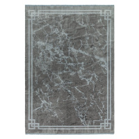 Sivý koberec 200x290 cm Zehraya – Asiatic Carpets