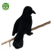 Plyšový vrana čierna 25 cm ECO-FRIENDLY