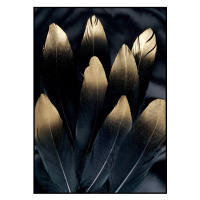 Obraz 50x70 cm Golden Feather – Malerifabrikken