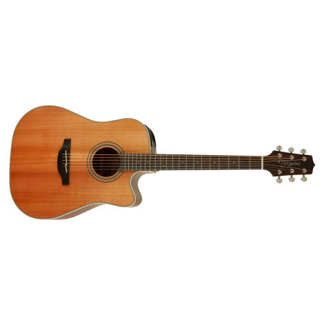 Takamine GD20CE-NS