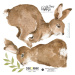 Sada 7 nástenných samolepiek Dekornik Happy Rabbits Wonderland