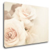 Impresi Obraz Ruže svetlé - 90 x 60 cm