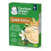 Gerber Organic Nemliečna KAŠA Vanilka