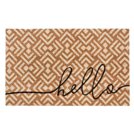 Rohožka Hello 105681 - na ven i na doma - 45x75 cm Hanse Home Collection koberce