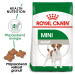 Royal Canin Dog Mini Adult - 800g