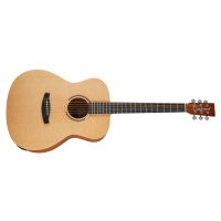 Tanglewood TR 3 E