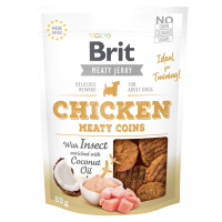 BRIT Snack Jerky Chicken with Insect Meaty Coins 80 g