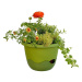 Samozavlažovací závesný kvetináč Mareta, zelená, 25 cm, Plastia, pr. 25 cm