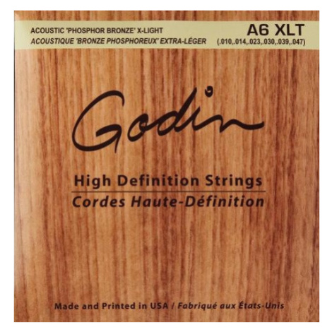 Godin Strings Acoustic Guitar XLT