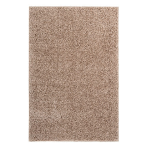 Kusový koberec Emilia 250 taupe Rozmery koberca: 80x150